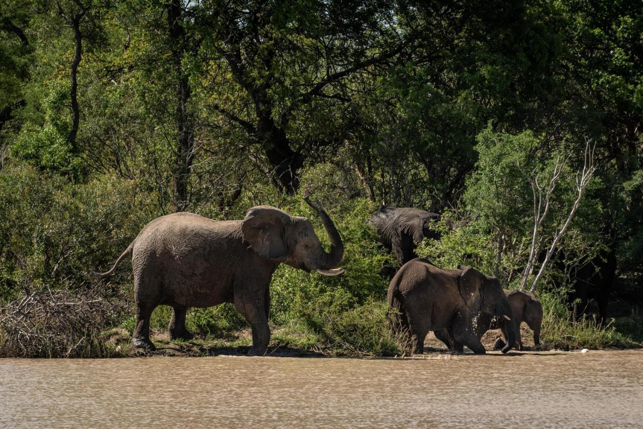 Kapama Buffalo Camp Kapama Game Reserve Dış mekan fotoğraf