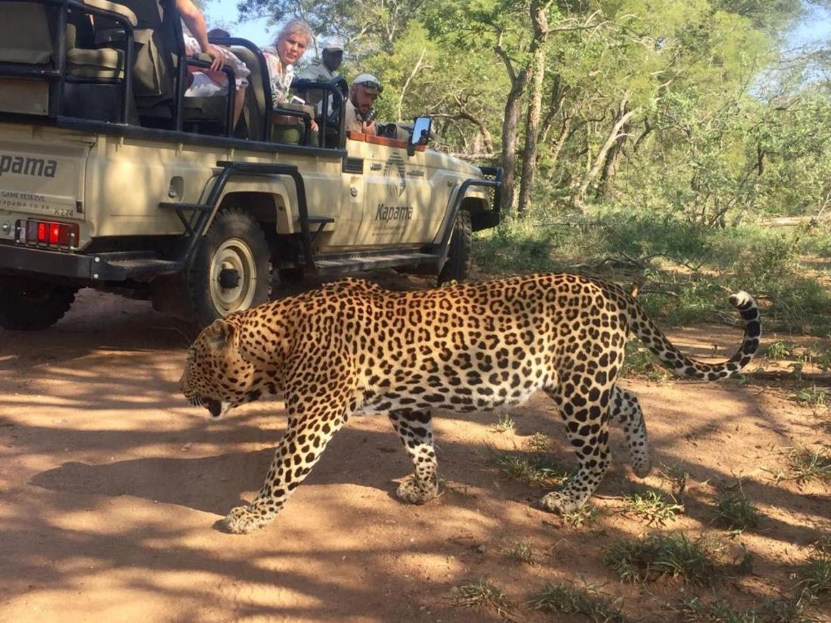 Kapama Buffalo Camp Kapama Game Reserve Dış mekan fotoğraf