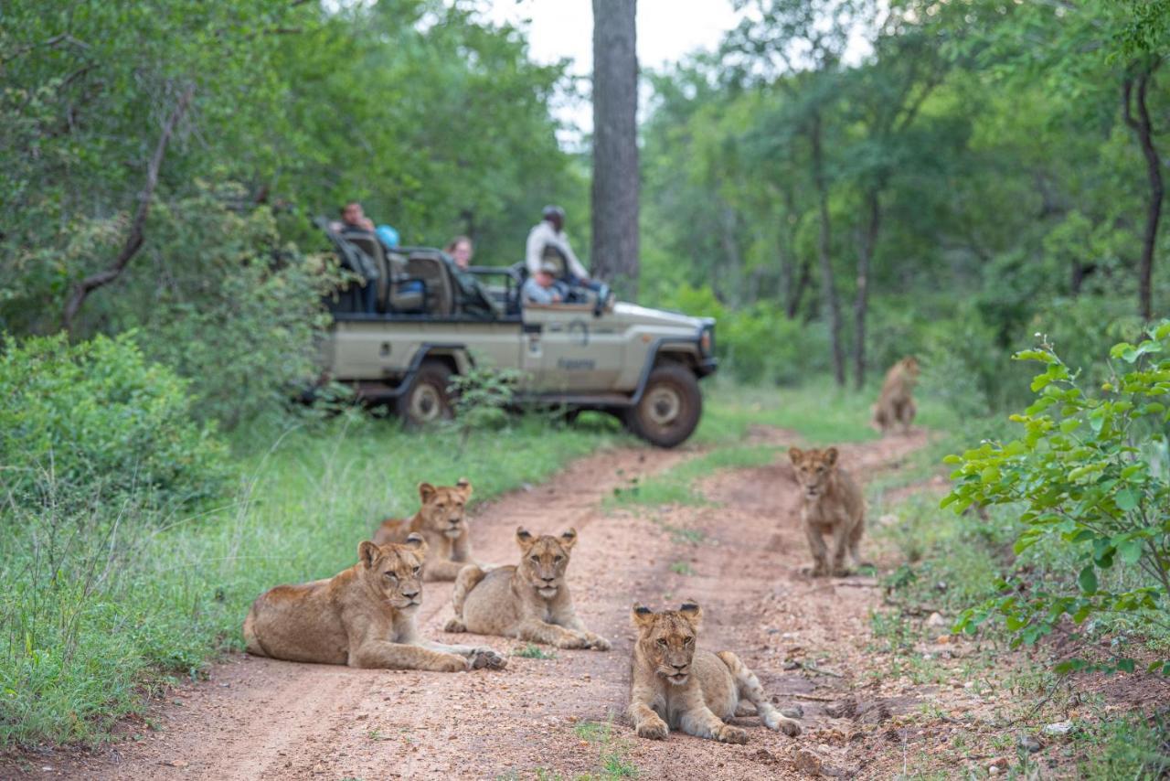 Kapama Buffalo Camp Kapama Game Reserve Dış mekan fotoğraf