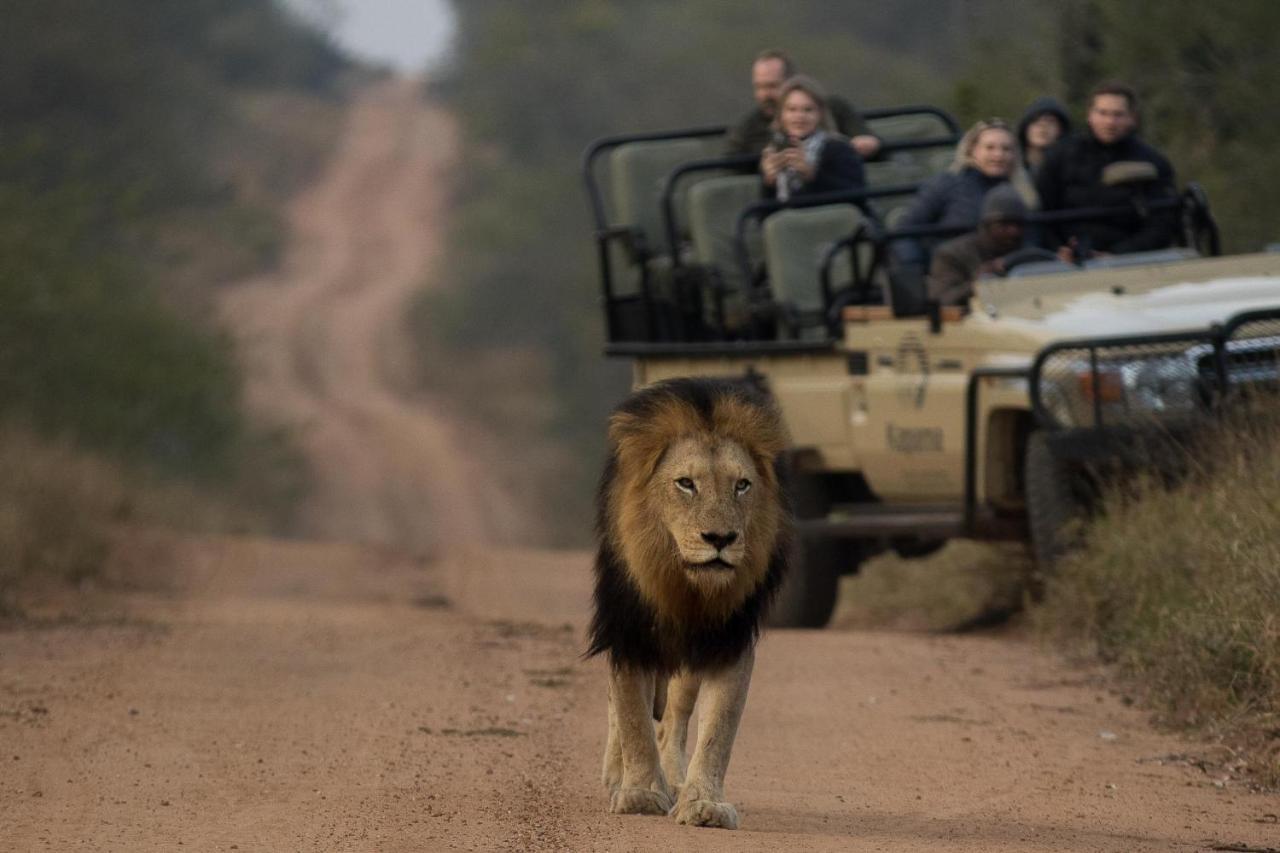Kapama Buffalo Camp Kapama Game Reserve Dış mekan fotoğraf