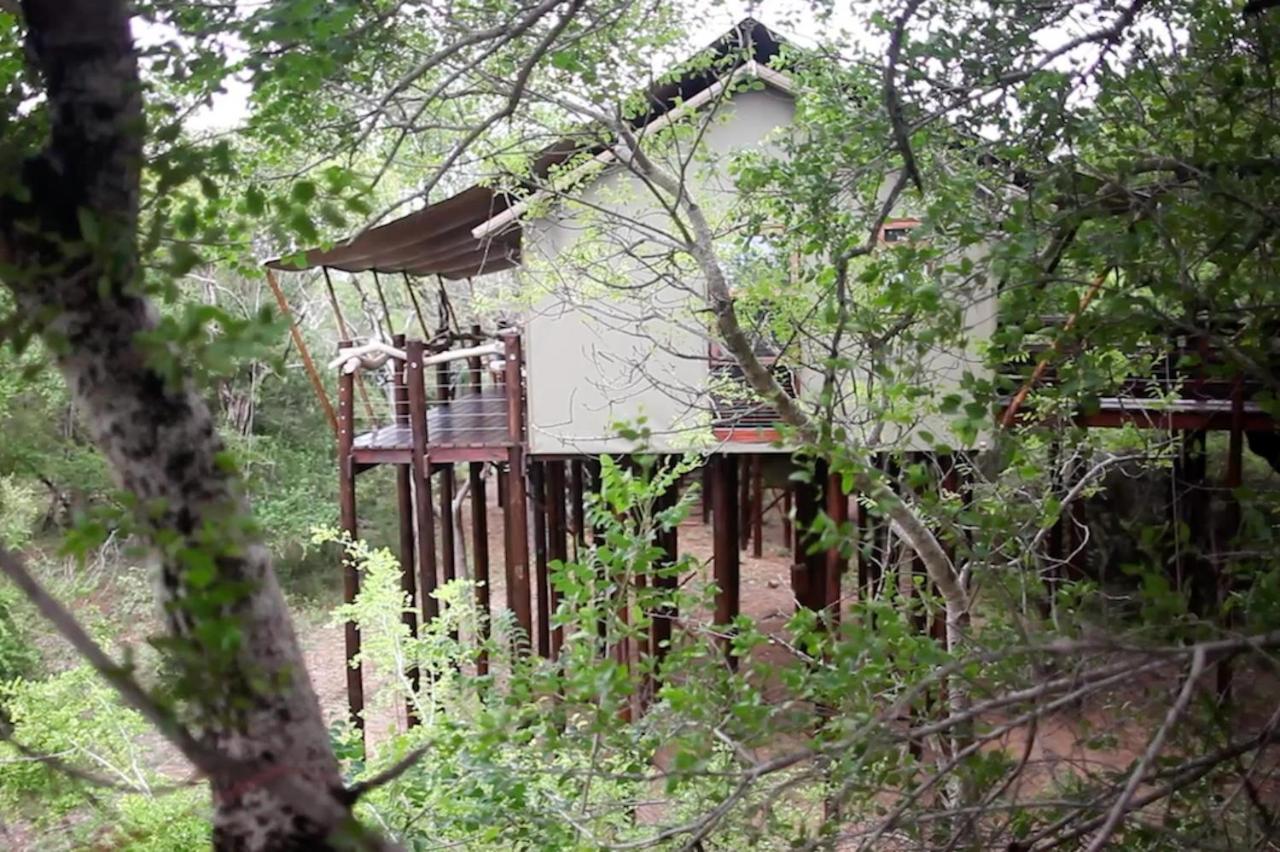 Kapama Buffalo Camp Kapama Game Reserve Dış mekan fotoğraf