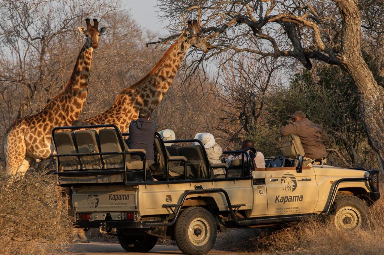 Kapama Buffalo Camp Kapama Game Reserve Dış mekan fotoğraf