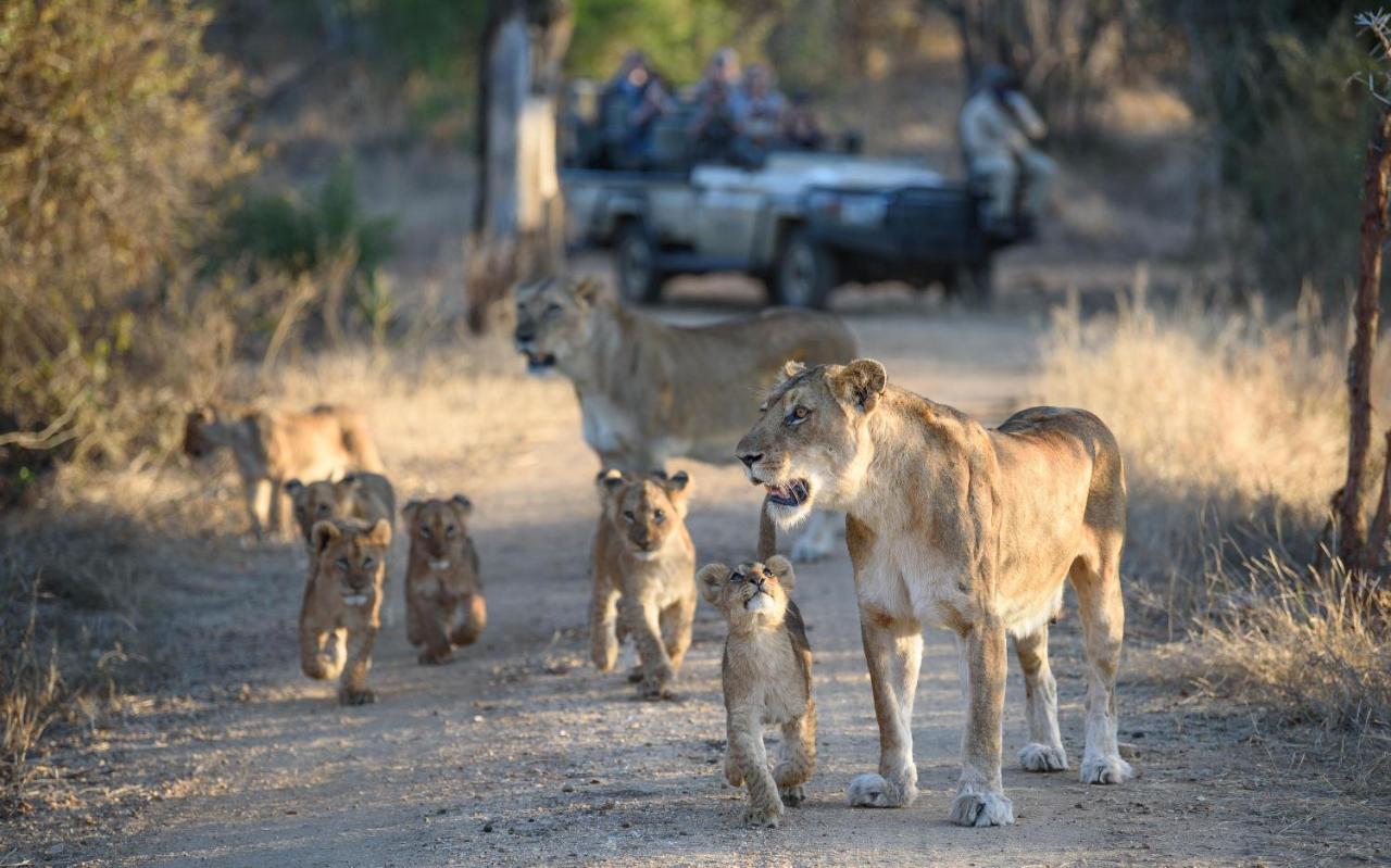 Kapama Buffalo Camp Kapama Game Reserve Dış mekan fotoğraf